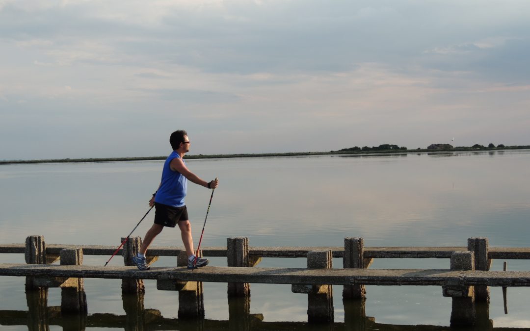 Perché camminare nella natura migliora corpo e mente.